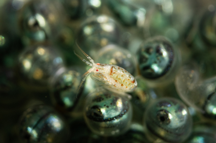 49a2fa182d25387bbdceb5533134199b_김성일 144A9783.jpg